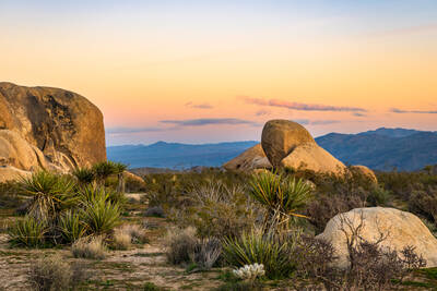 Photo of the landscape in Joshua Tree National Park. Sunset. Spring.