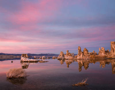 Photo of tufa in Mono Lake.