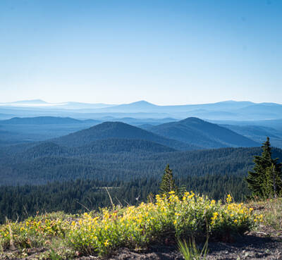 Photo from Crater Lake National Park. Summer.