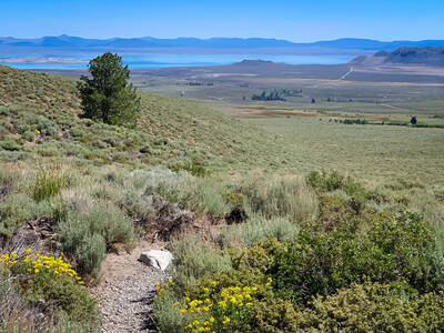 Photo of Mono Lake region. Summer.