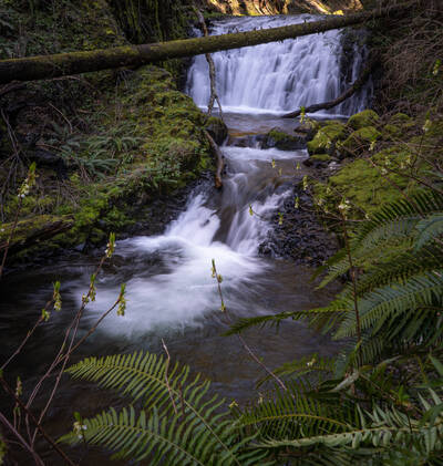 Photo of a small waterfall near Multnomah Falls. Columbia River gorge in Oregon. Winter.