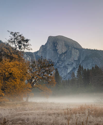 Photo of fall colors and fog near Half Dome in Yosemite National Park. Fall.