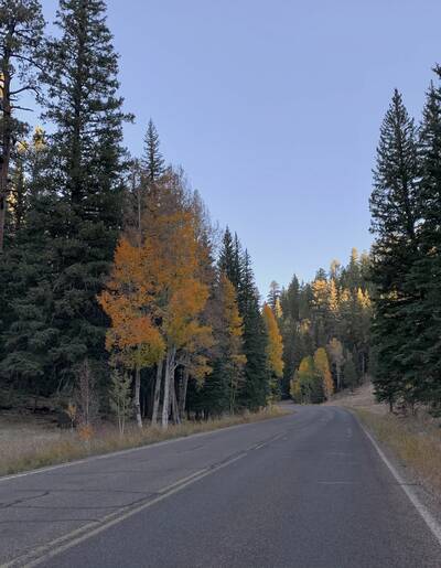 Photo of a colorful landscape in Grand Canyon. Fall.