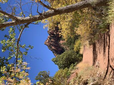 Photo of fall colors on the hike to Kanarra Falls. Fall.