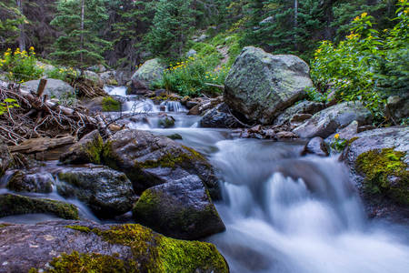 Photo of a cascade in the Rocky Mountain National Park