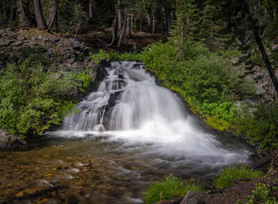 Photo from Kings Creek in Lassen National Park. Summer.