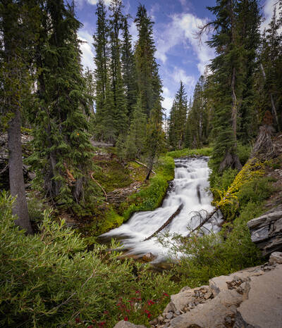 Photo from Kings Creek in Lassen National Park. Summer.