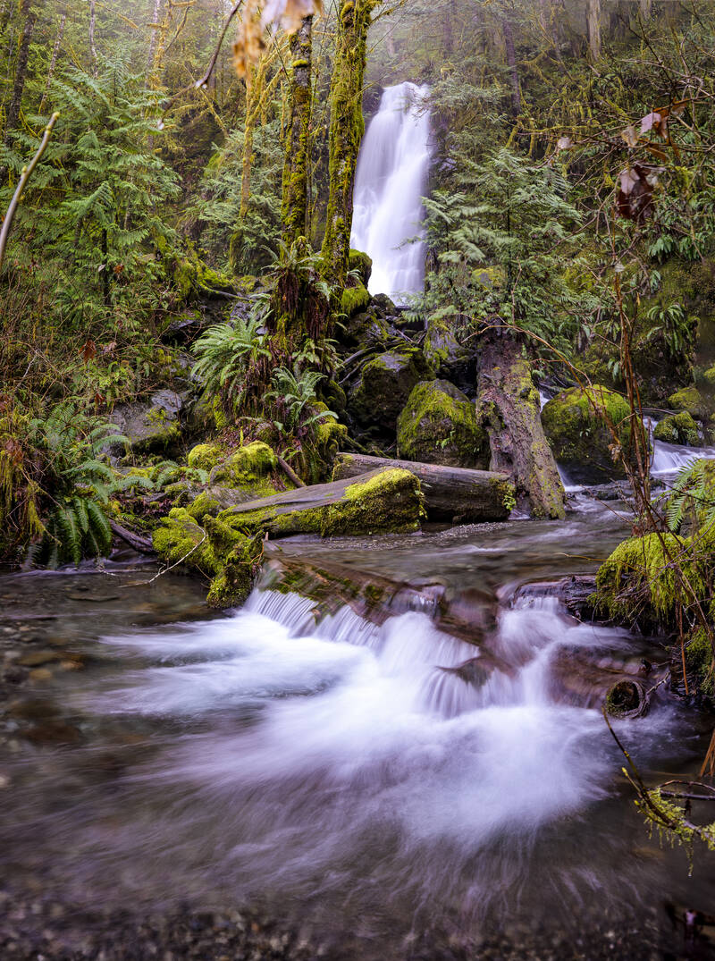 Photo of a waterfall near Quinault Lake, Olympic National Park. Winter 2018.