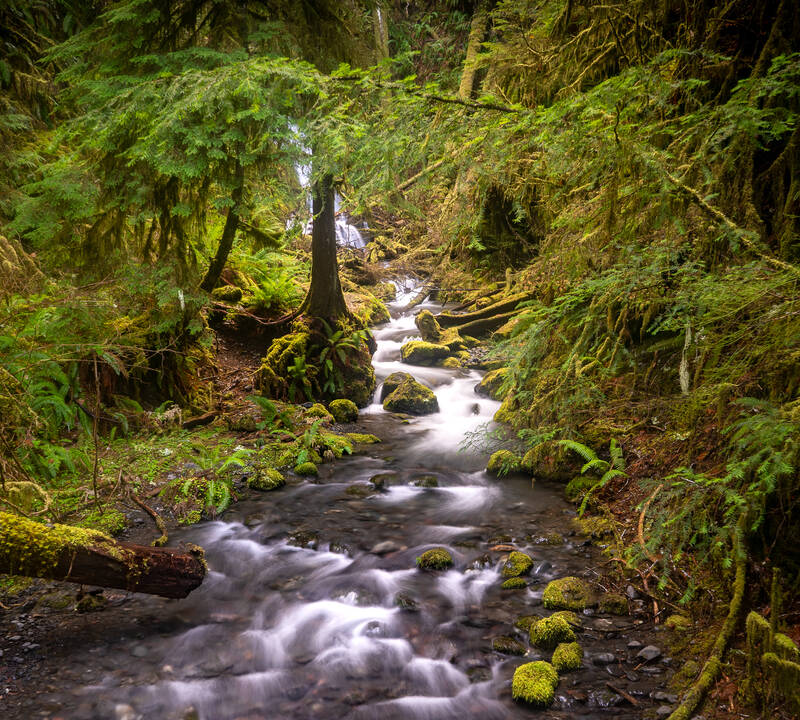 Photo of a cascade near Marymere Falls, Olympic National Park. Winter 2018.