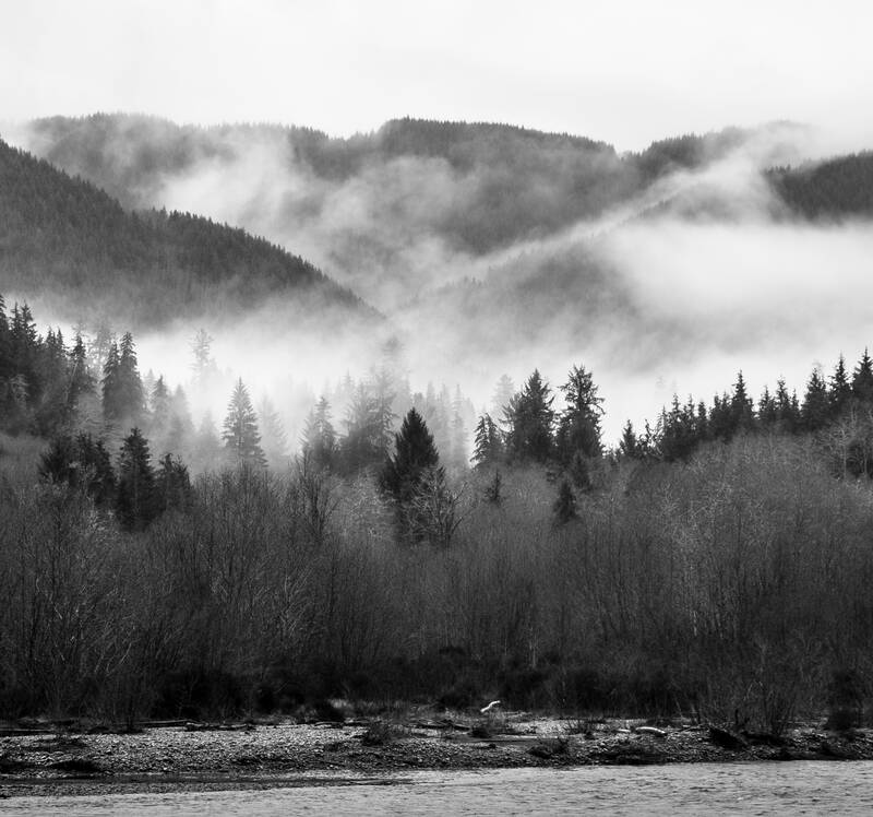 Photo of Hoh River and surrounding forest covered in mist. Winter 2018.